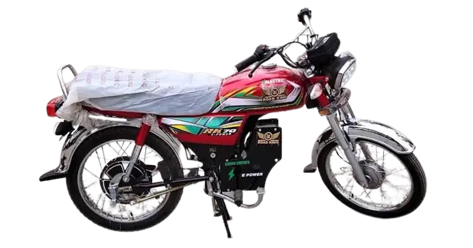 Road King Electric Bike